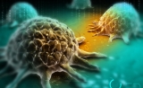 Cell子刊：缺氧，让T细胞抗癌功能更强大！或有助于CAR-T对抗实体瘤