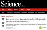 Science推翻长期以来的定论：蛋白质变性全新理论