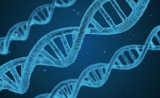 DiaCarta (帝基生物)荣获美国国家癌症研究院 (NCI)第二期合同资助其液体活检cfD