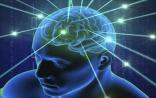 Science：颠覆认知，大脑的计算能力要高 10 倍以上
