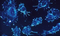 惊呆…Nature：年龄越大越容易患癌？科学家发现“罪魁祸首”藏在人体内