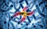 Cell新发现：意料不到的保护“裸露”基因组的RNA