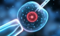 中科院启动一批国际领先干细胞临床研究项目