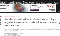 Science子刊：三阴性乳腺癌耐受化疗竟是可逆的