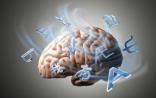 PNAS：外语学不好你可以怪基因