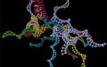 Science：生产3D纳米DNA颗粒的新方法