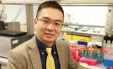 这次是“智能凝胶”，顾臻团队癌症免疫疗法新成果登Science子刊