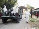 全球首个新型禽流感病毒株 H5N2现身台湾