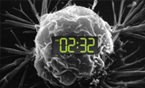 CELL METAB：别拿生命熬夜，当心熬成肺癌！