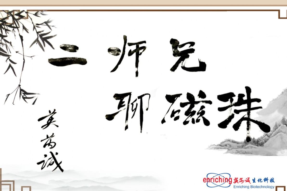 《二师兄聊磁珠》1：什么是纳米磁珠