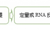 实时荧光定量PCR