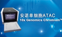 必看！10x Genomics单细胞ATAC-seq实测数据概览
