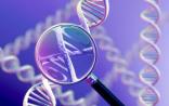 Neurology：阿尔兹海默症或可18岁就进行风险预测？
