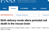顺产vs剖腹产？PNAS：出生模式影响脑发育和行为