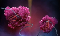 Science：张锋团队免费开源给学术研究！升级版CRISPR拓展RNA功能编辑