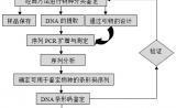 基因条形码