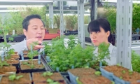 上海科学家：青蒿素有望成为降血脂、抗肿瘤新药