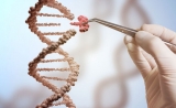 Science：德国默克使CRISPR专利战再起波澜