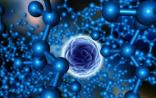 肿瘤生物标记物市场蛋糕不断做大，预计2020年达176.89亿美元！