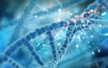 CRISPR华裔牛人不止张锋 这位学者连发Nature子刊等文章改进CRISPR