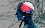 Cell惊人发现！肠道微生物影响大脑关键免疫细胞，不同性别有差异