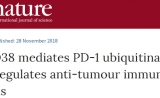 最新Nature | 许琛琦团队解析PD-1降解机制，有望指引新的抗癌策略