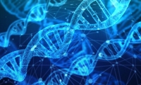 人类疱疹病毒基因组包装关键机制揭示