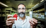 需要什么食物，其实取决于肠道微生物？