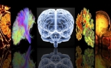 Nature子刊惊人发现：糖尿病患者更容易“躲过”这种癌症