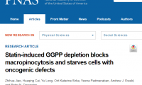 PNAS：他汀类药物使癌细胞无法吸收蛋白而“饿死”