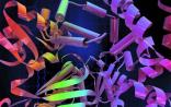 Nature Methods介绍细胞生物学新研究工具