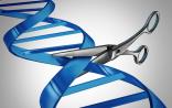 Cell：将CRISPR与单细胞RNA-seq相结合 解决悬而未决的问题