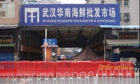 Science：新型冠状病毒，武汉华南海鲜市场并非唯一来源？