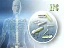 除了MERS，澳大利亚现致死率高达50%的超级病菌KPC