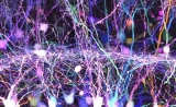 2018年度图片出炉：科学之美，惊艳了生活！