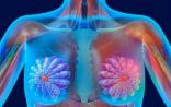 乳腺癌为何难治？4篇Nature披露不为人知的基因突变