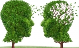 Science：抗氧化剂或能在帕金森病早期阻断神经退化