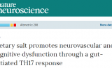 警惕！盐吃多了会“变傻”，科学家们还找到了原因 | Nature子刊