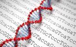 Science子刊：新高通量测序技术发现最适合对抗癌症的T细胞