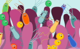 Science：肠道微生物中的真菌“由谁控制”？是免疫细胞！