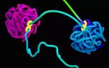 【重磅】轰动生物界的最新发现：DNA中神秘的第二层遗传信息