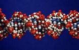 Science：自我组装的RNA“瓦片”纳米技术