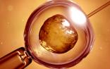 不是神话！新技术让卵子“返老还童”，再获生殖突破