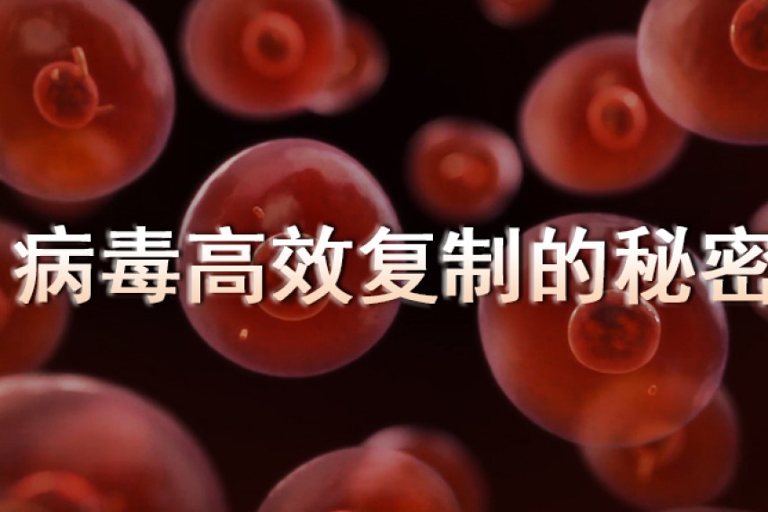 惊！Nature子刊发现病毒侵染竟能改变宿主染色体三维结构！