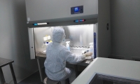 防微杜渐，细胞库检定在生物安全中的重要意义