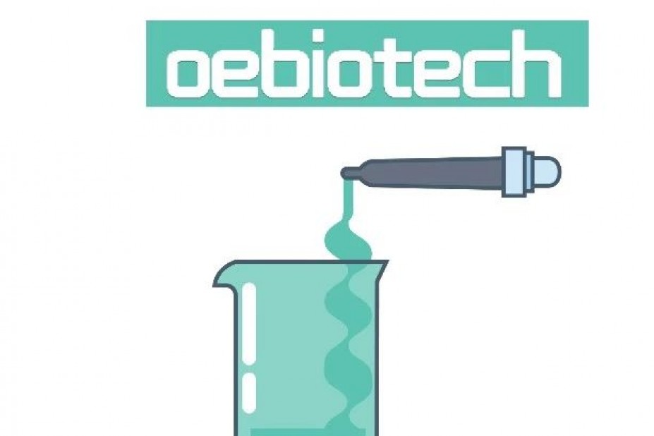 利用酵母双杂筛选与APP胞外域互作的蛋白