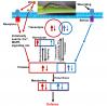 【 APT客户文章IF 6.169】三组学联合分析生物胁迫