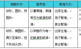 酿酒酵母表达系统与毕赤酵母表达系统之比较