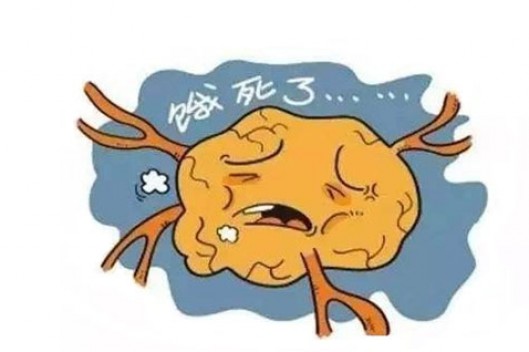 癌症病人到底是该“饿”还是该“补”？