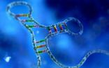 生物制药技术大跃进：RNA-Base时代悄悄到来